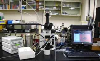 Hotstage Microscopy.